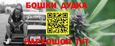 индика Каменск-Уральский
