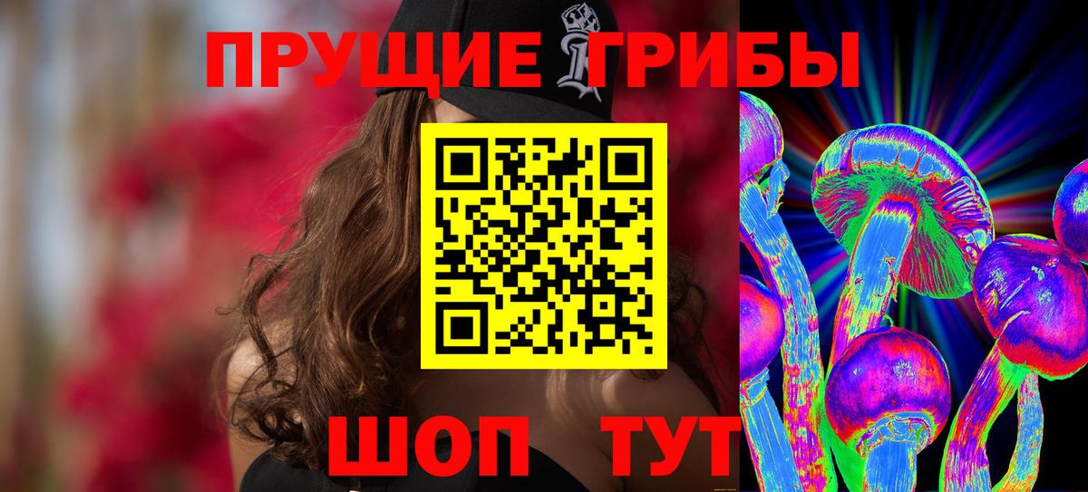 Вышний Волочёк  Галлюциногенные грибы Psilocybe  Вход с VPN  Галлюциногенные грибы мицелий 